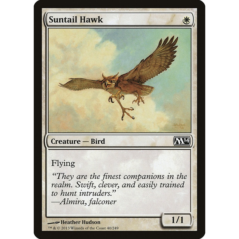 Suntail Hawk [Magic 2014]
