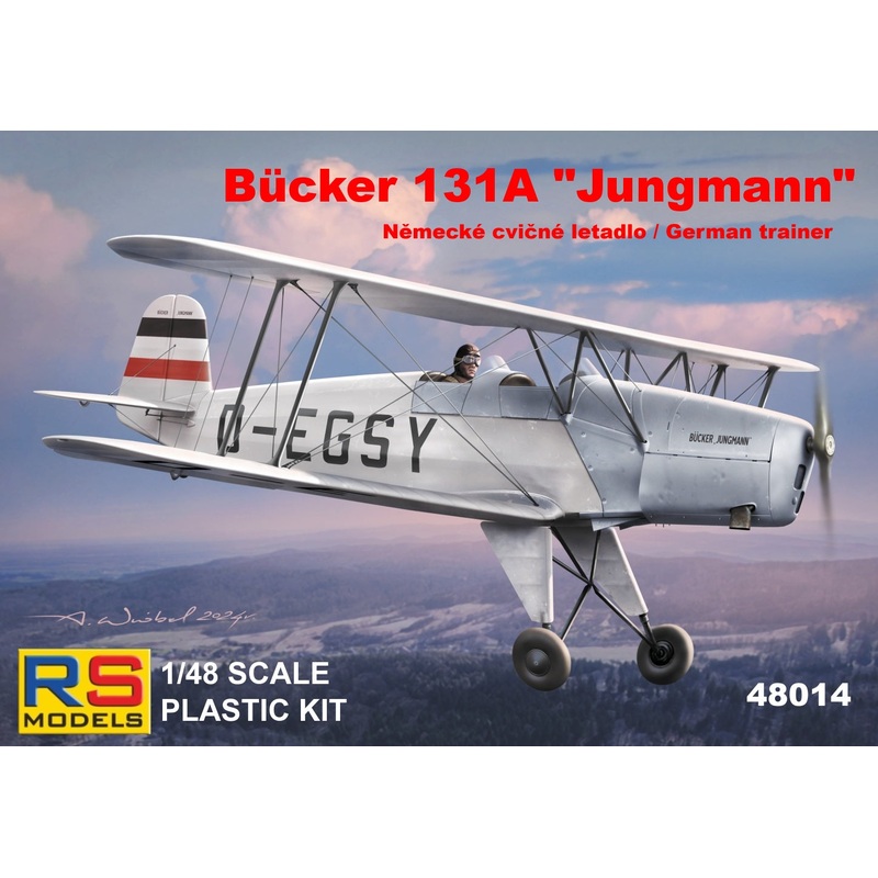 RS Models RSMI48014 1:48 Bucker Bu-131A